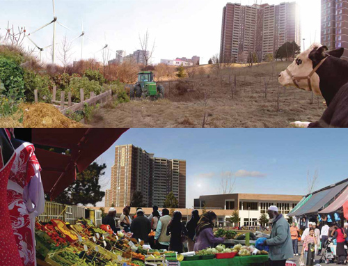 10 reasons the GTA, not just downtown Toronto, is getting better all the time