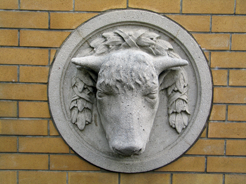 The animals of the Coliseum