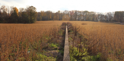 Serra’s Shift to be designated under Heritage Act