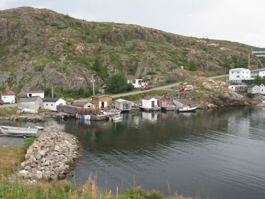 Newfoundland field research (by guest blogger Kathryn Douthart)