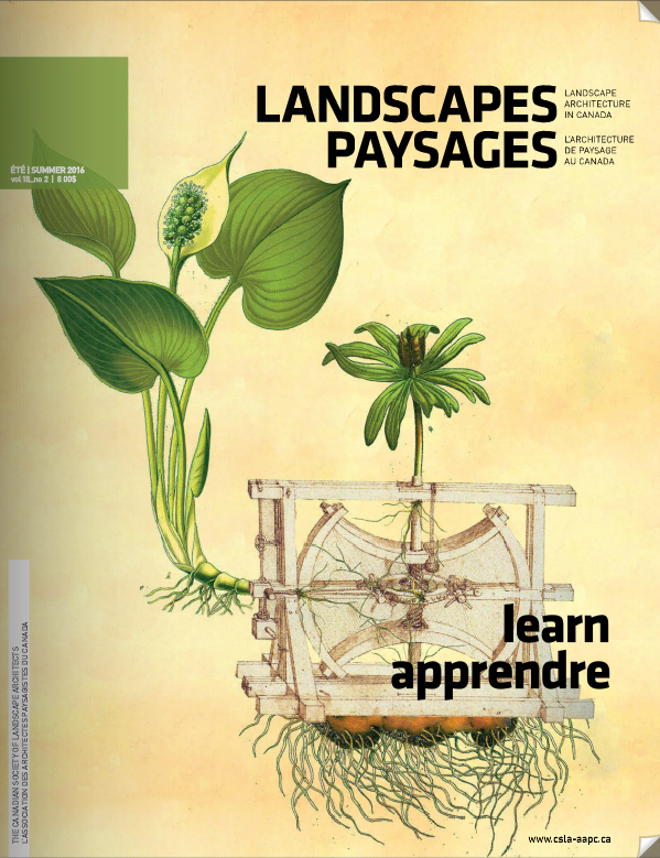 Teaching-based Professionals, Business-based Researchers