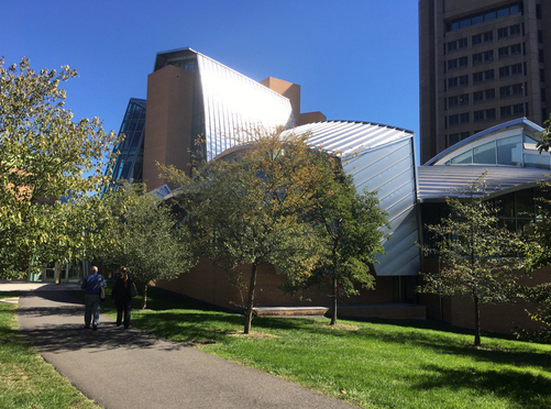 Big Cities in a ‘small’ Context