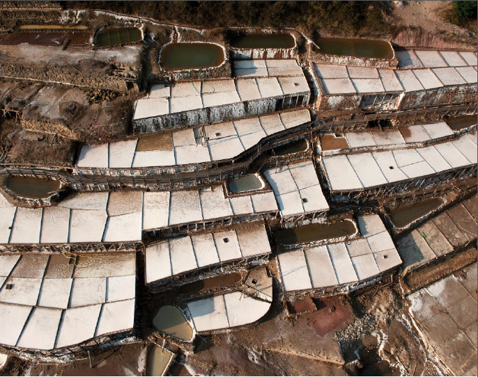 Mikel Landa Discusses Wooden Heritage Conservation