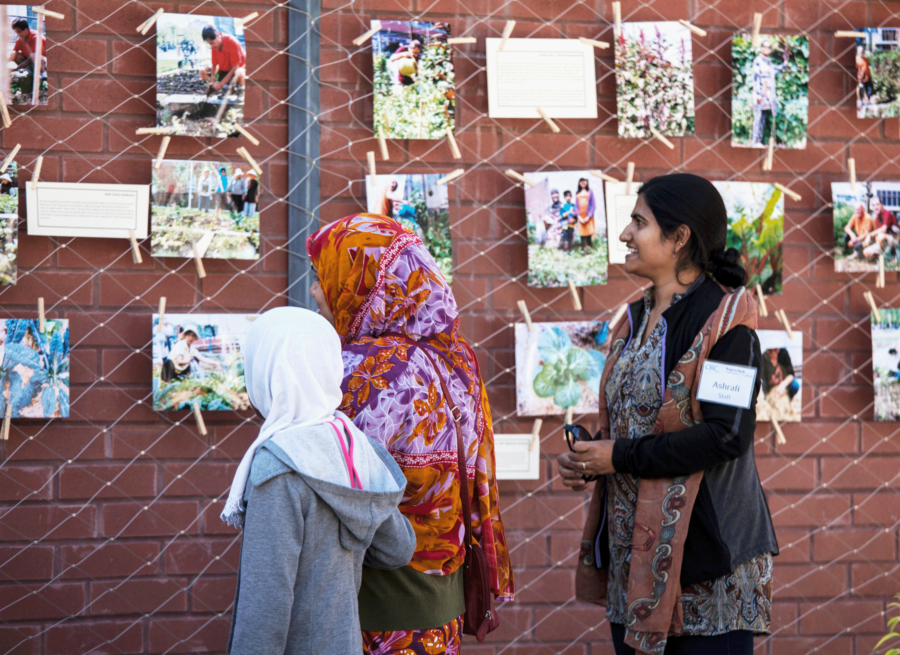 Regent Park Interpretation Strategy