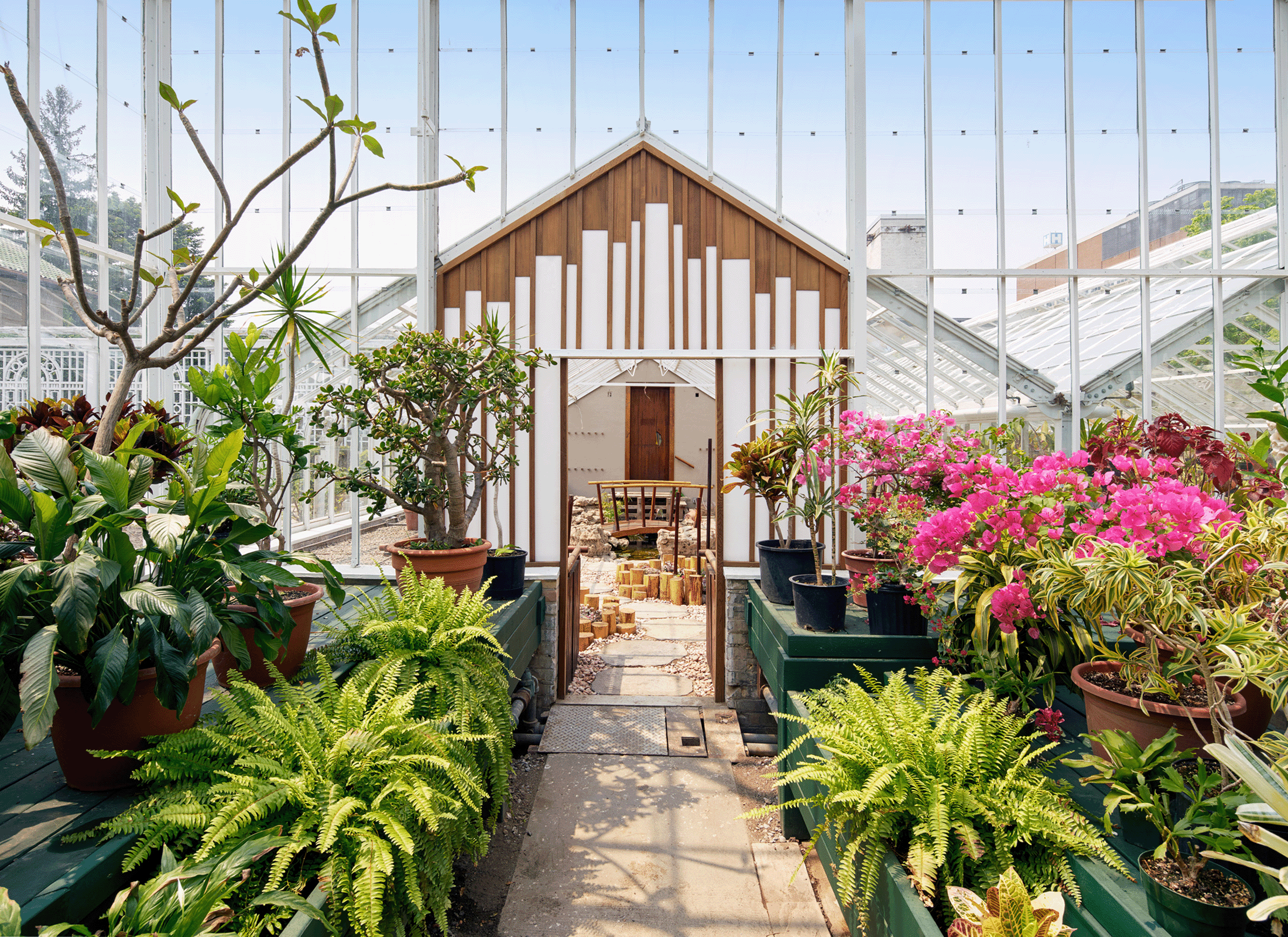 Parkwood Estate National Historic Site: Greenhouse Conservation