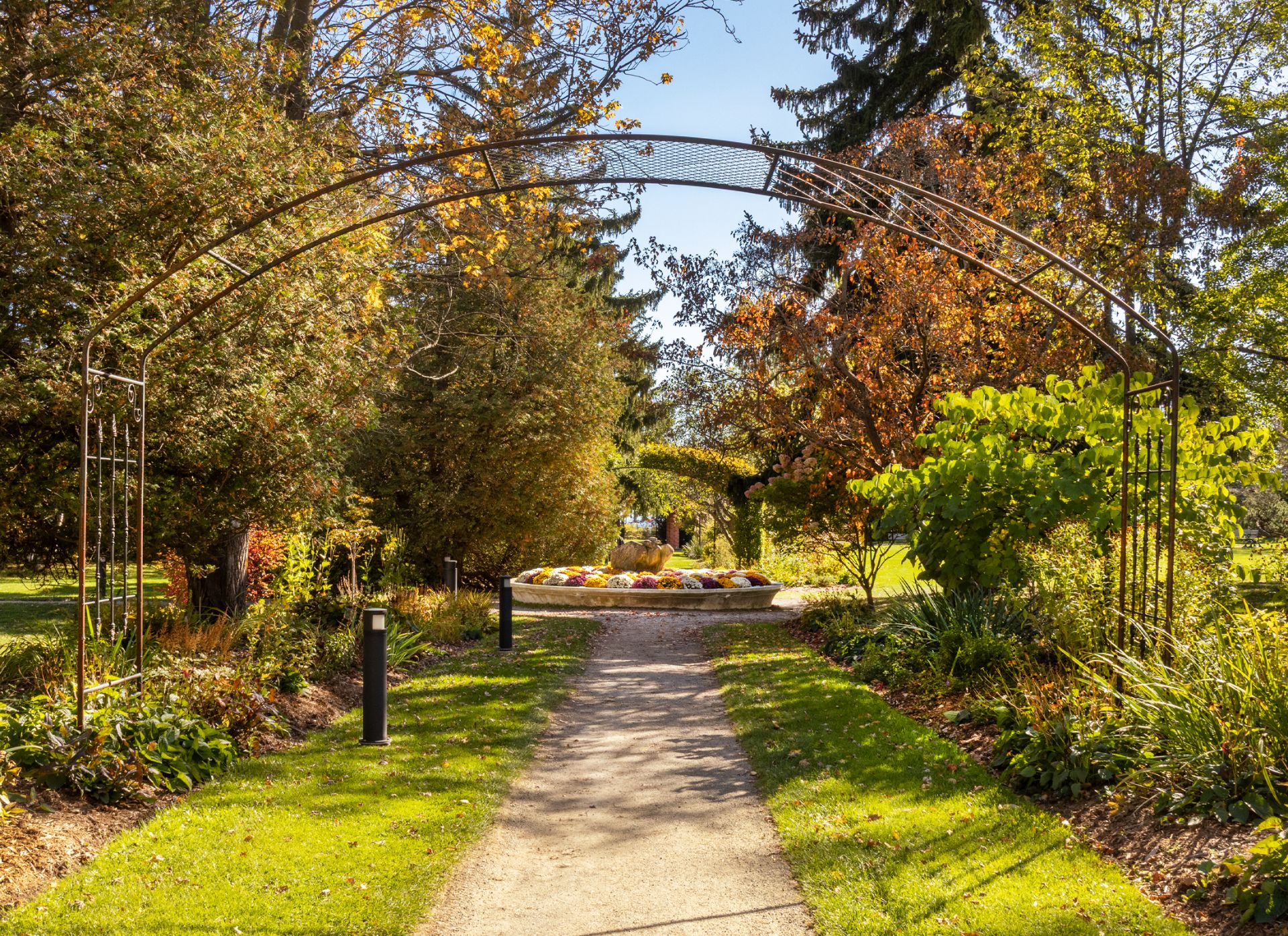 Garden walkway framed by a metal arbor and surrounded by foliage and greenery.