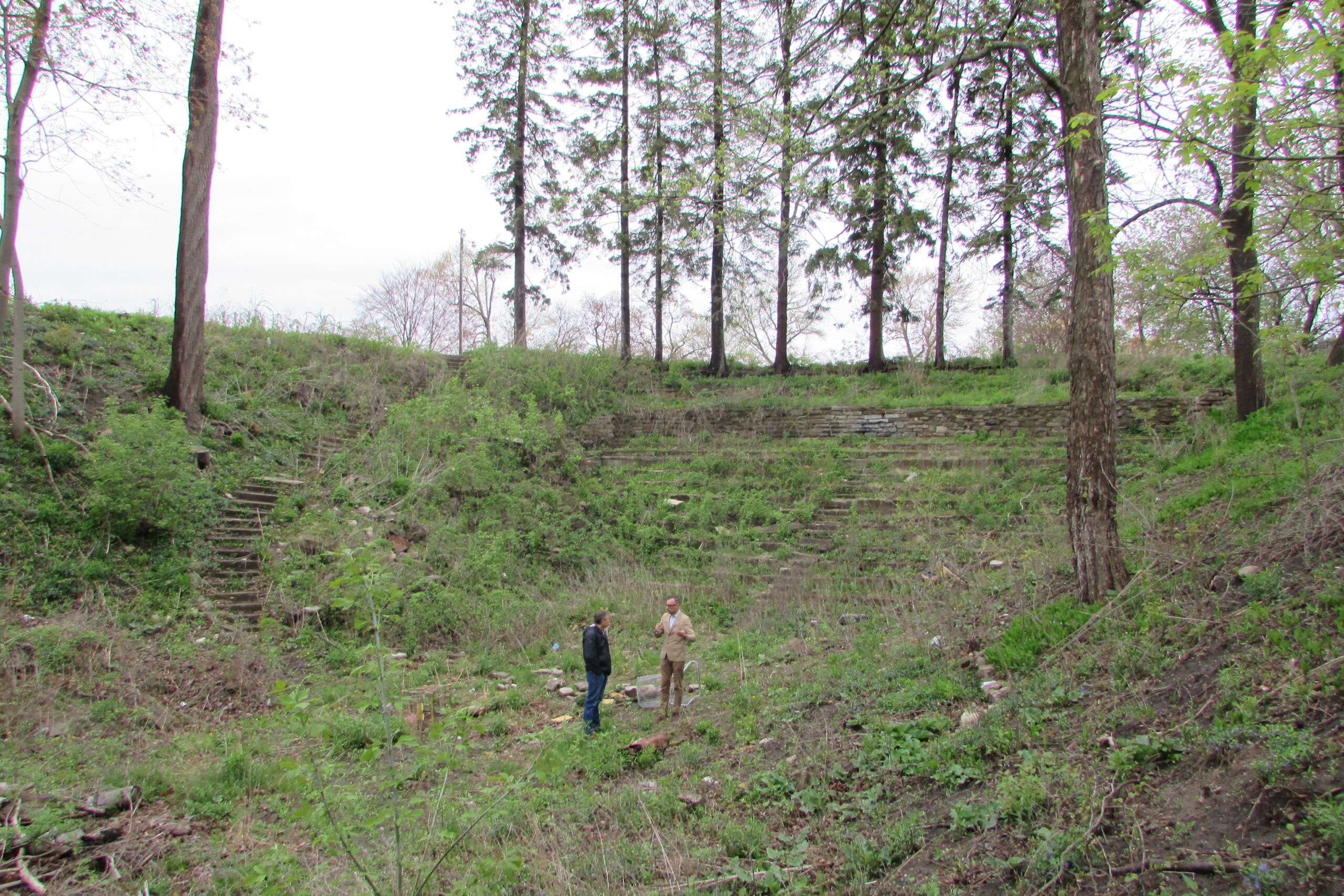 outdoor amphitheater with overgrown vegetation