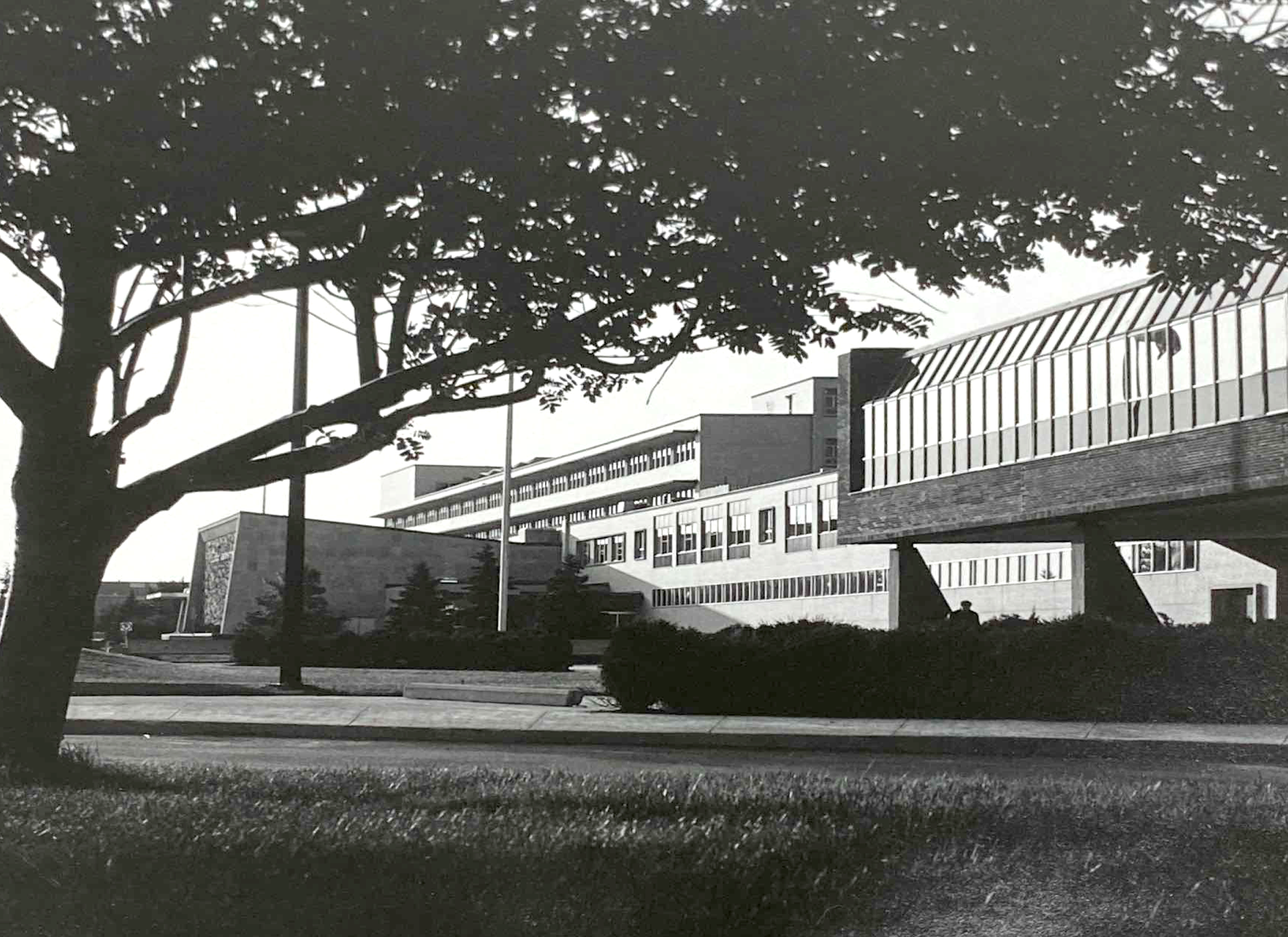 Exterior of Collège Ahuntsic, a concrete modernist building in the background with trees and landscape in the foreground.