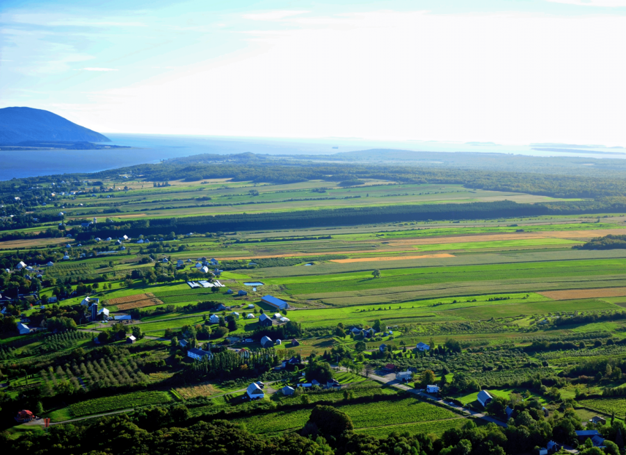 Exploratory typo-morphological study of Île-d’Orléans