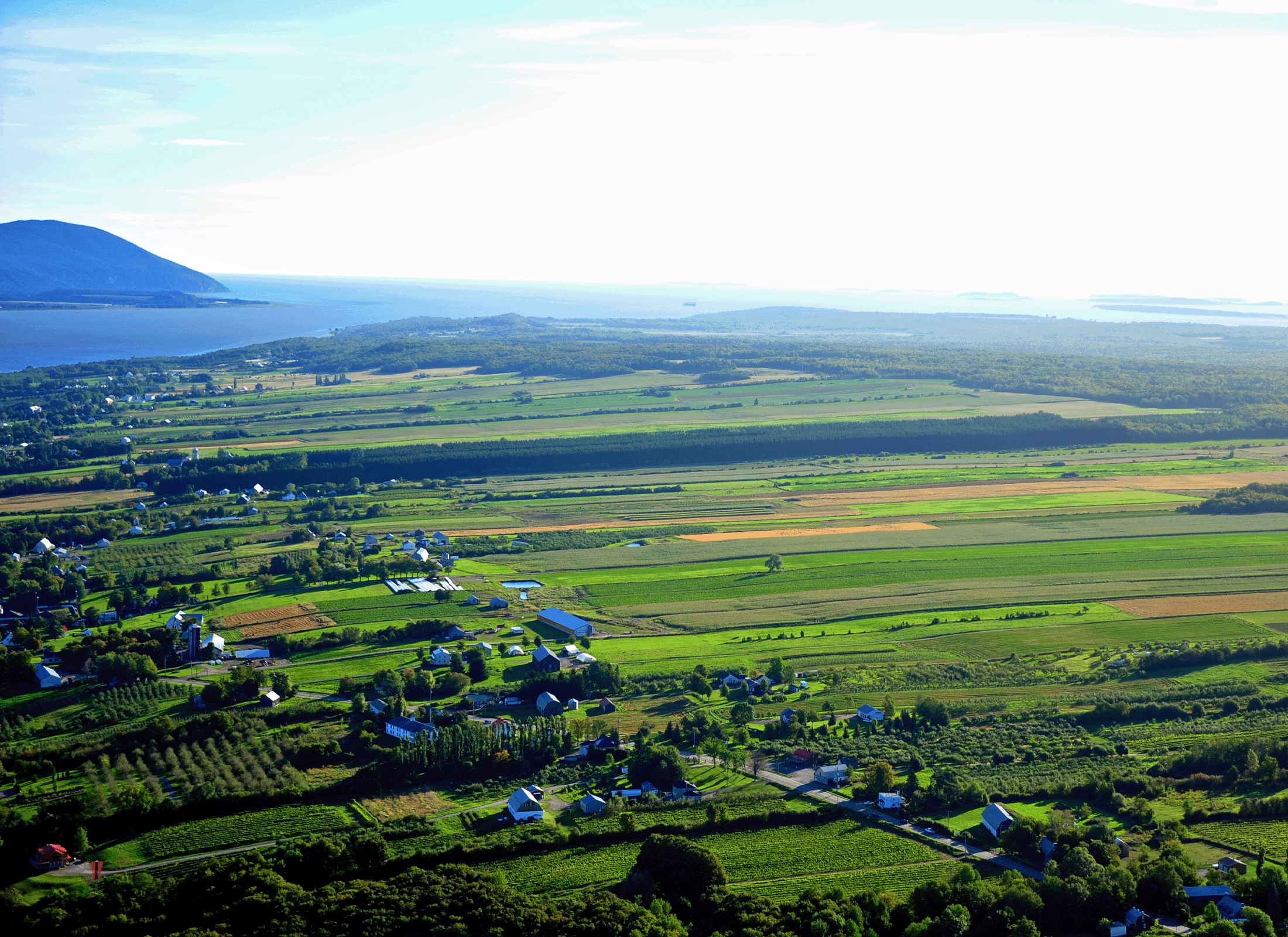 Exploratory typo-morphological study of Île-d’Orléans