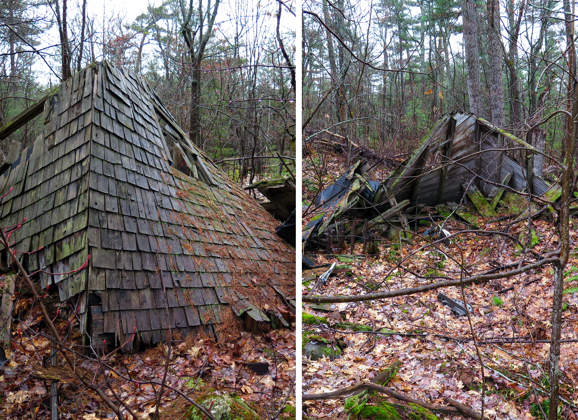 Collapsed roof within a forest.