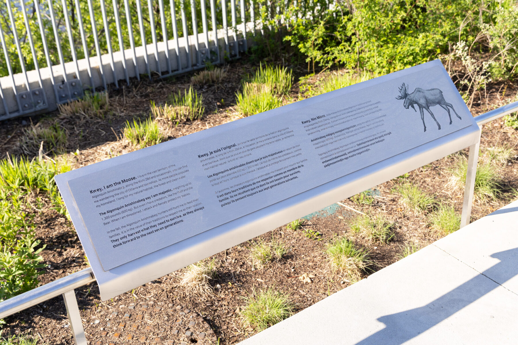 Interpretation panel of 
