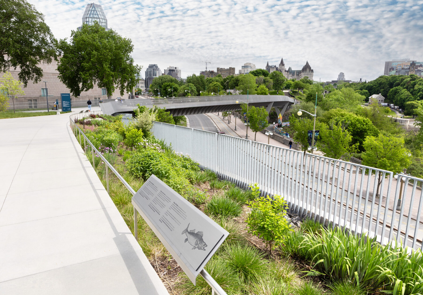 Interpretation panel of beavers on pedestrian pathway at Kìwekì Point.