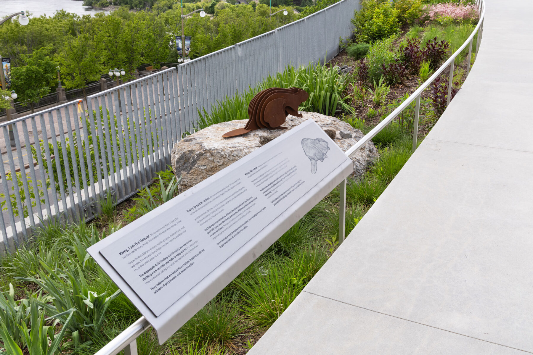 Interpretation panel of beavers on pedestrian pathway at Kìwekì Point.