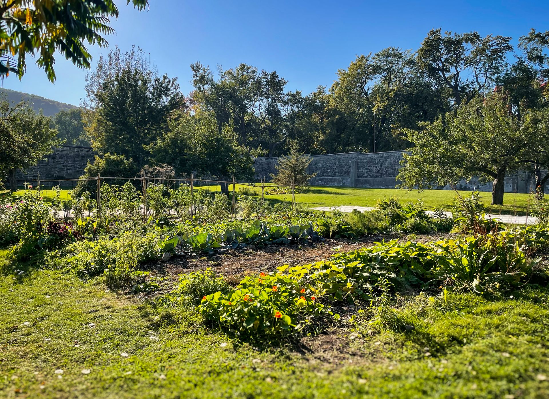 Gardens, lush grass landscape, and heritage stone walls at the “Cité-des-Hospitalières" gardens
