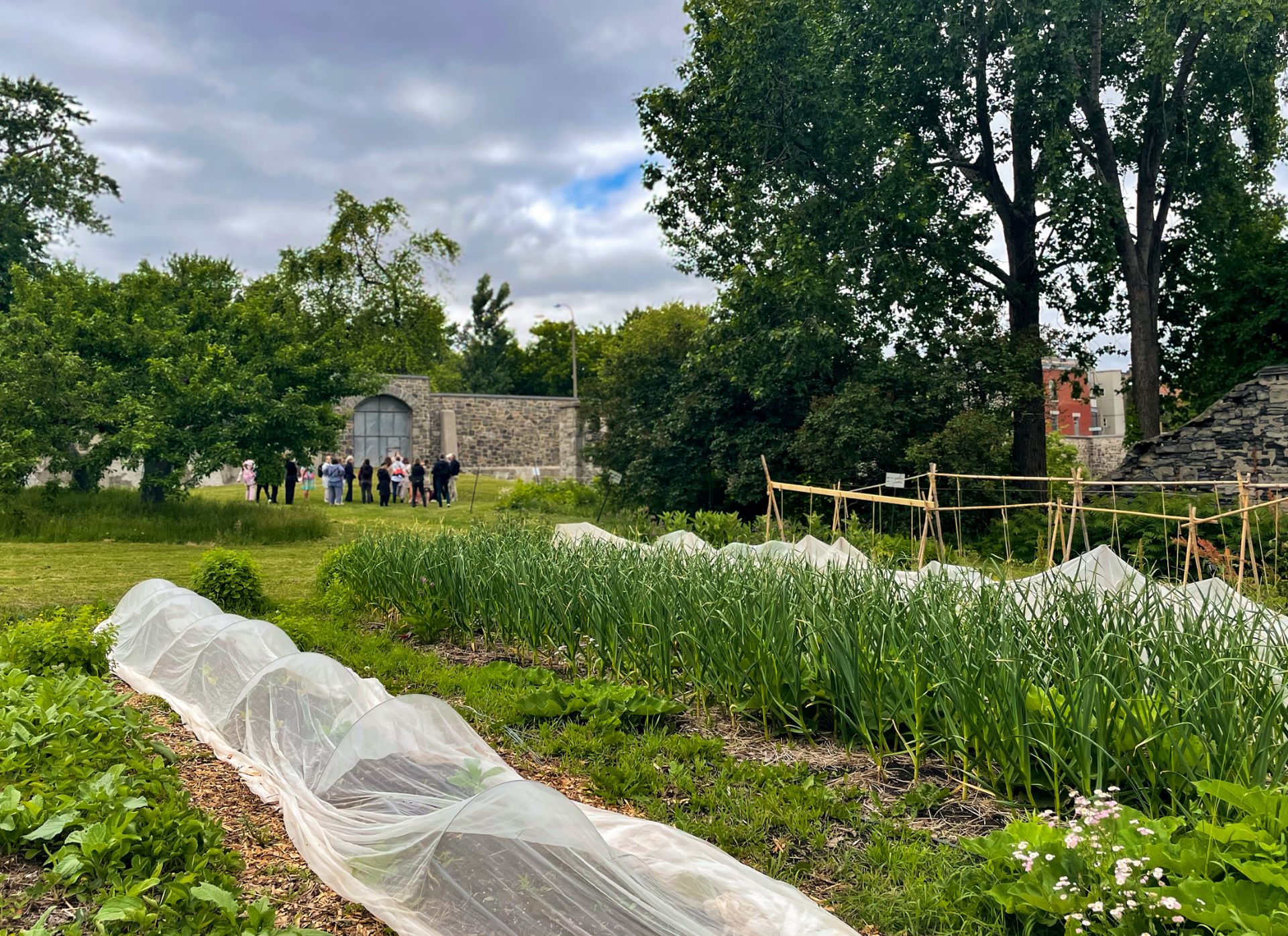 Gardens, lush grass landscape, and heritage stone buildings at the “Cité-des-Hospitalières" gardens