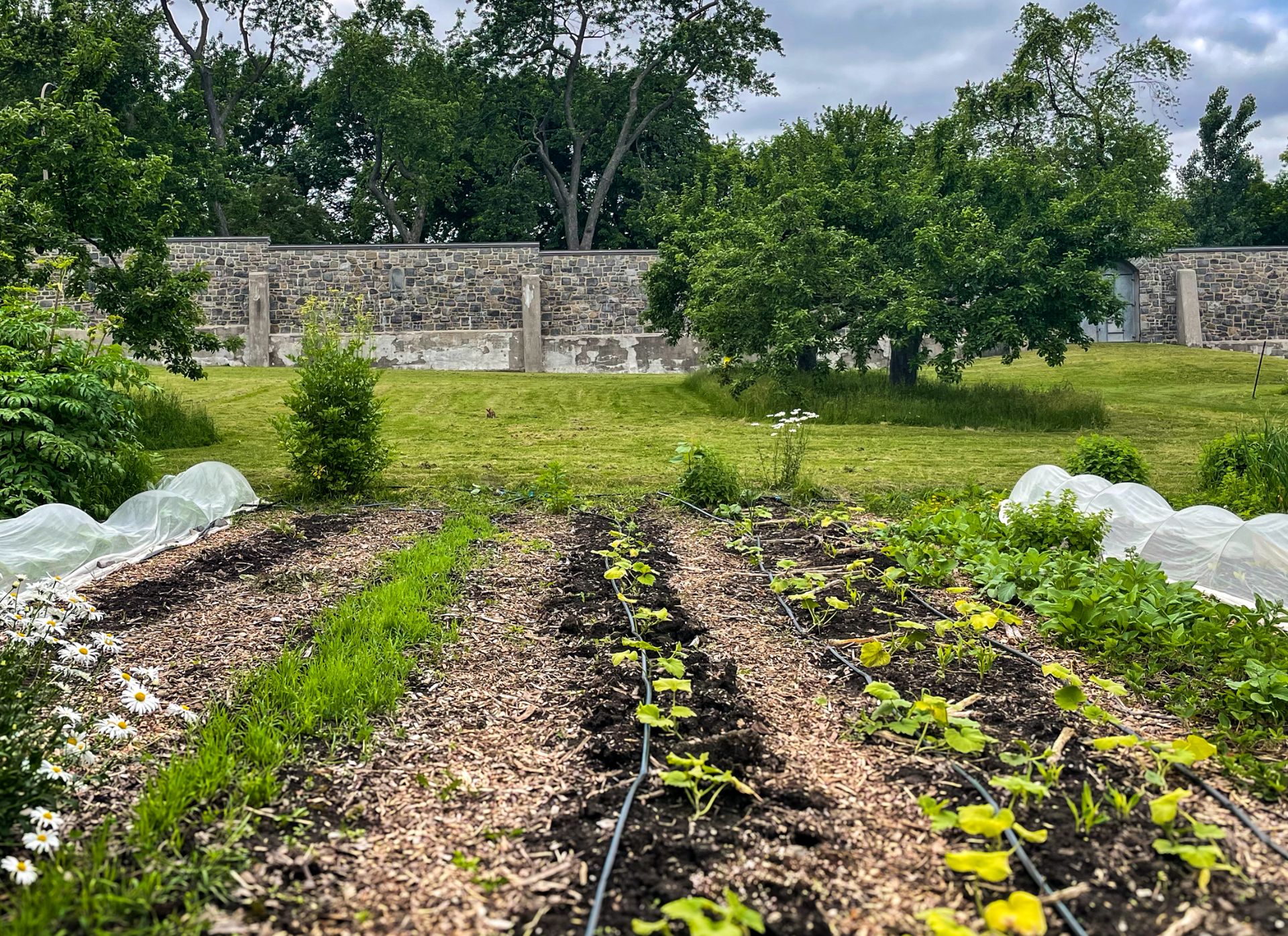 Gardens, lush grass landscape, and heritage stone walls at the “Cité-des-Hospitalières" gardens