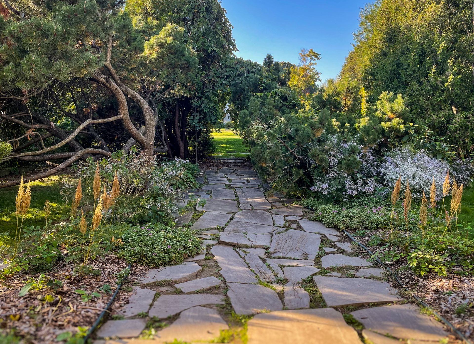 Large stone paths surrounded by lush landscape at the “Cité-des-Hospitalières"